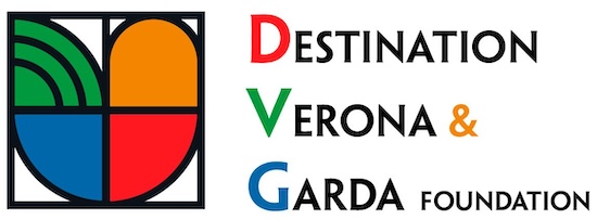 Logo DVG Foundation (1)